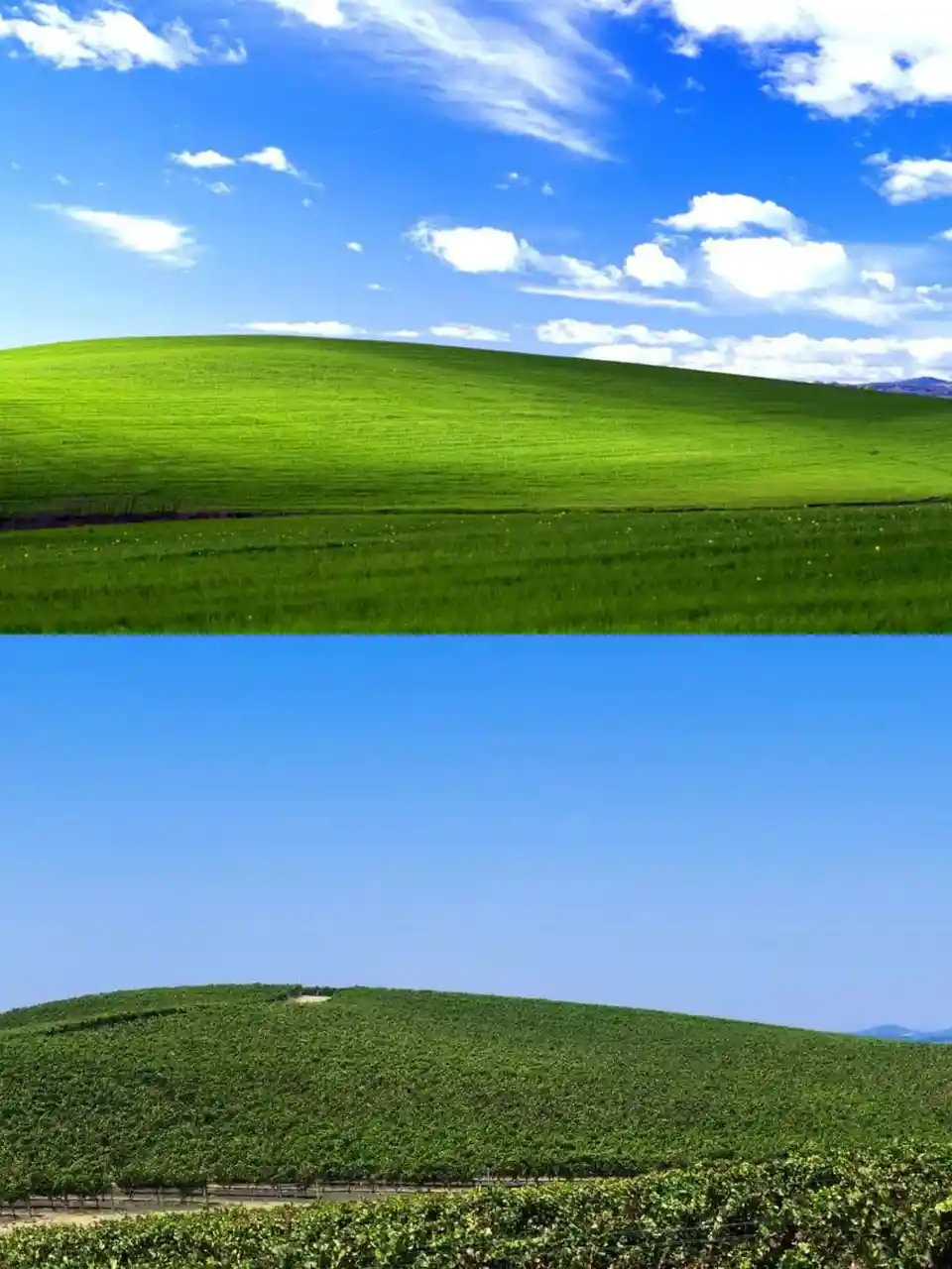 The image displays two photos stacked vertically: the top is the iconic Windows 98 startup screen featuring a bright green…