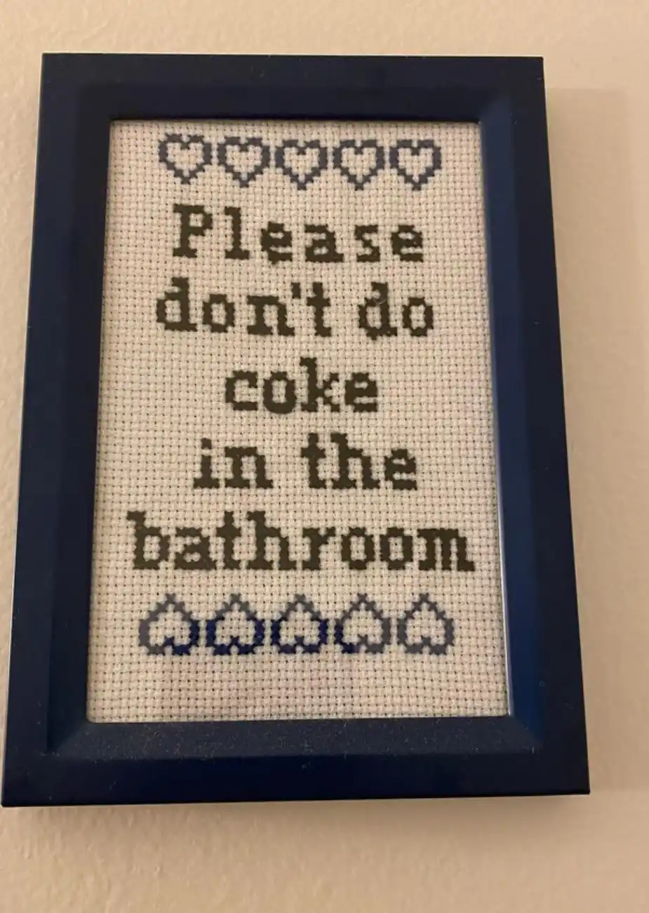 A framed cross-stitch piece on a beige wall, featuring a humorous request in dark thread: 'Please don't do coke in the…
