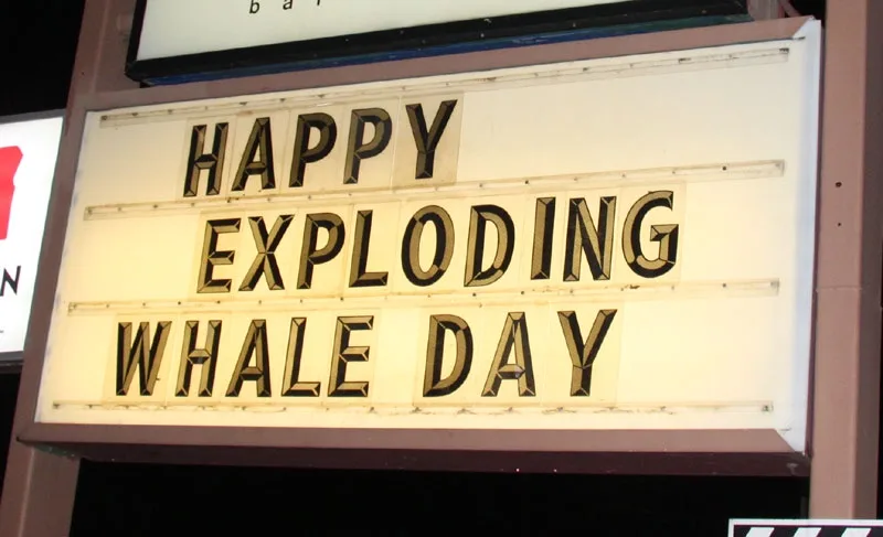A close-up of a lit-up marquee sign with black, blocky letters on a cream background. The sign reads 'HAPPY EXPLODING WHALE…