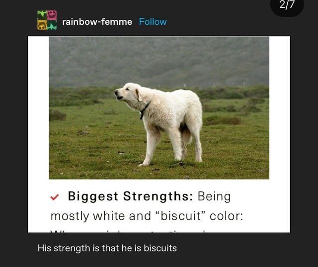 A large, fluffy white dog stands in a grassy field with a hazy mountain background. The image is overlaid with text that…