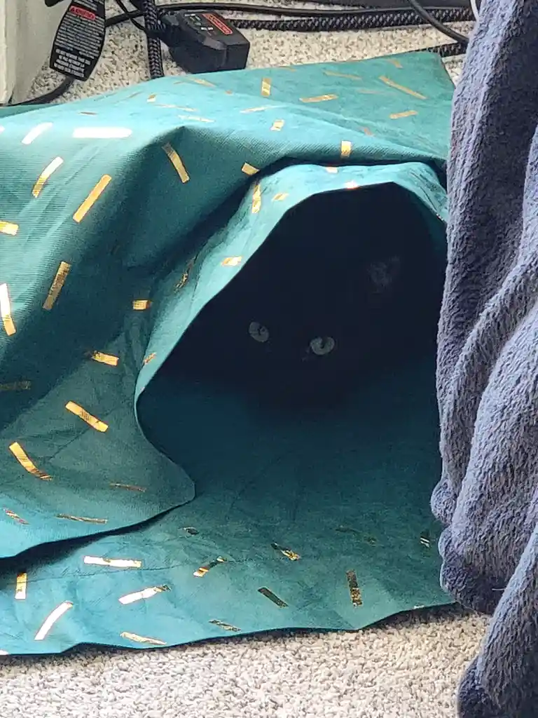 A teal fabric tunnel with gold stripes lies on a carpeted floor, its entrance dark and shadowy. Two glowing green eyes peer…