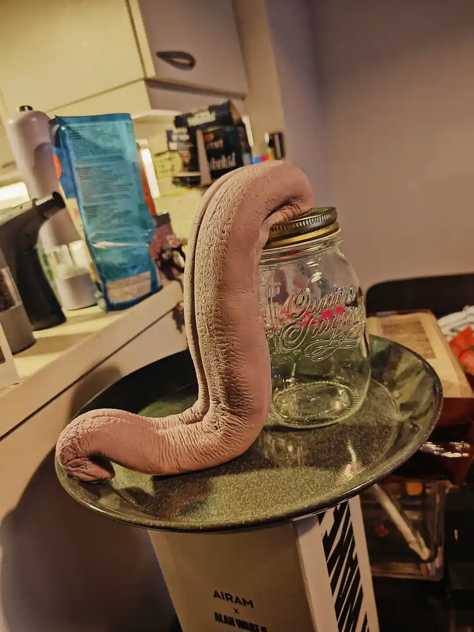 A pale, textured, worm-like prop with a curved body is draped over the lid of a clear glass mason jar sitting on a green…