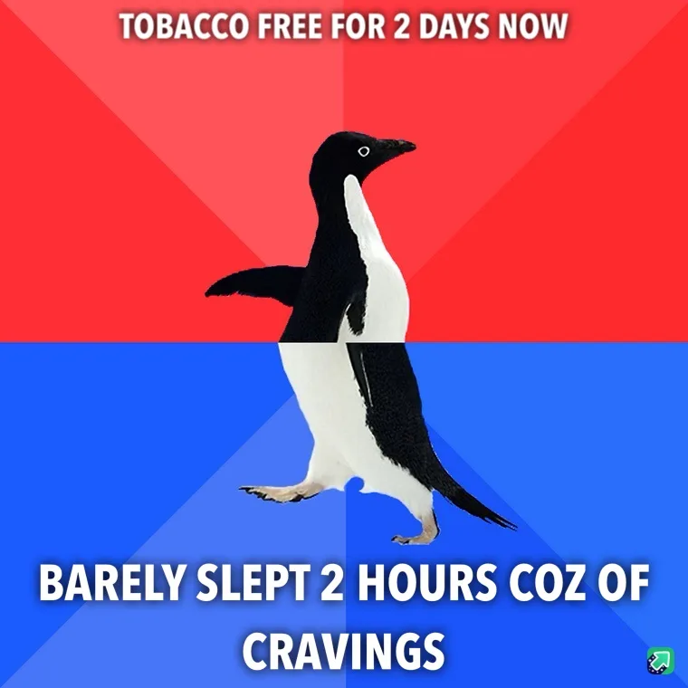 A black-and-white penguin stands centered against a red-and-blue background, with white text at the top reading 'TOBACCO…