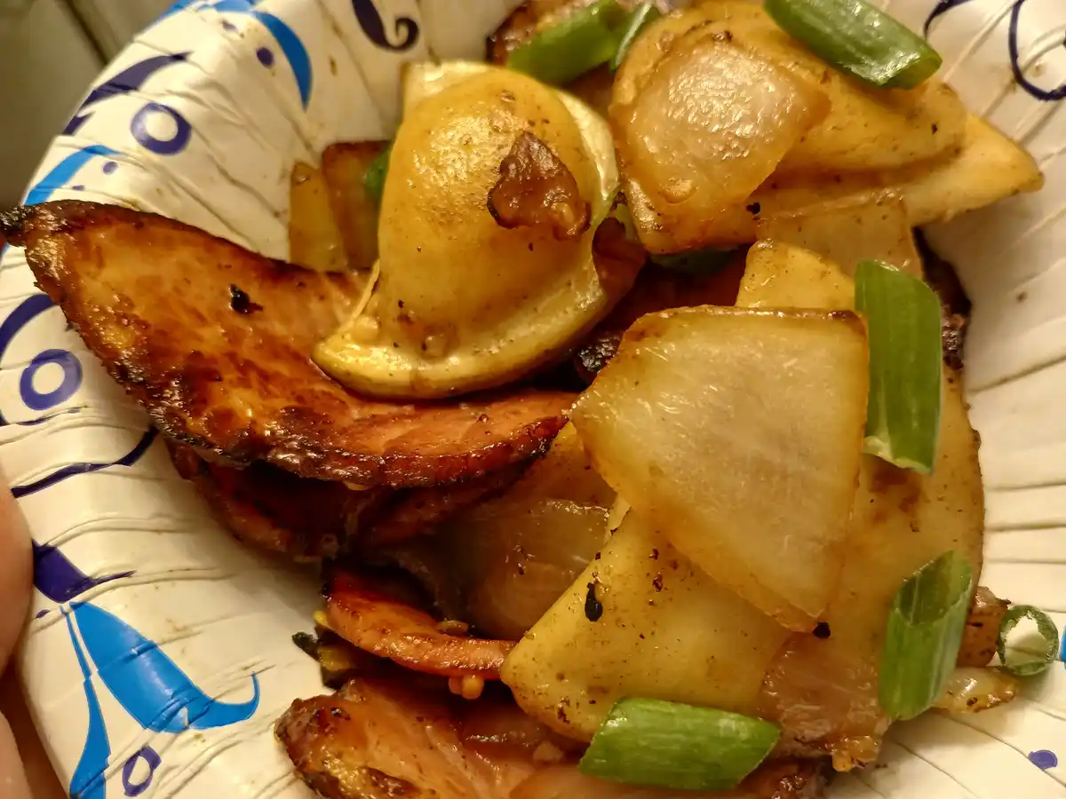 A close-up photo shows a paper plate with a messy, greasy-looking meal of fried potatoes, bacon, onions, and green onions. A…