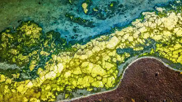 A brackish bloom immortalizes the lake as it transforms into a semi-salty lagoon. Tubers revel in the ocean's tidal…