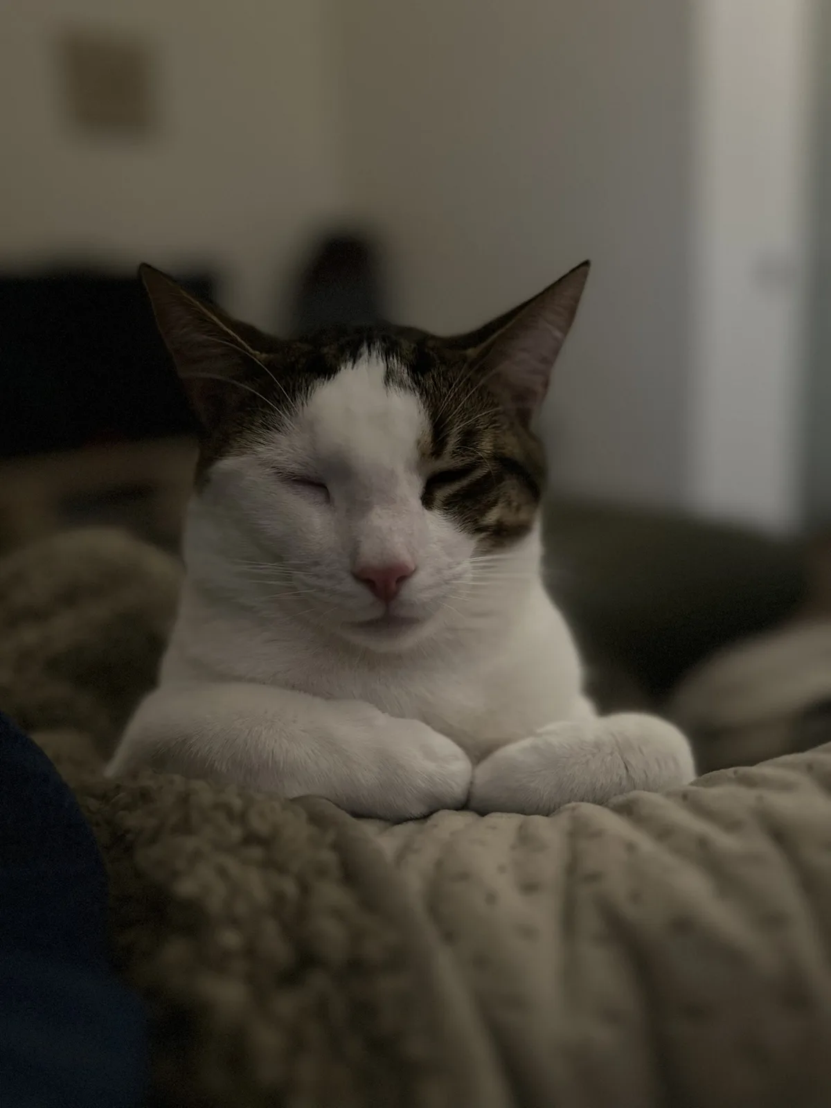 Chillin' Like Never Before: Version 2.0