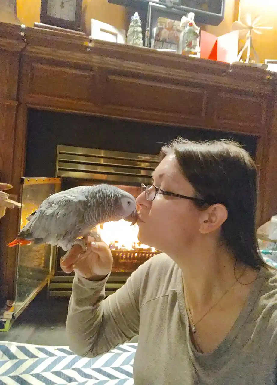 A woman wearing glasses holds a grey African grey parrot on her hand, and the bird is kissing her on the cheek. Behind them…