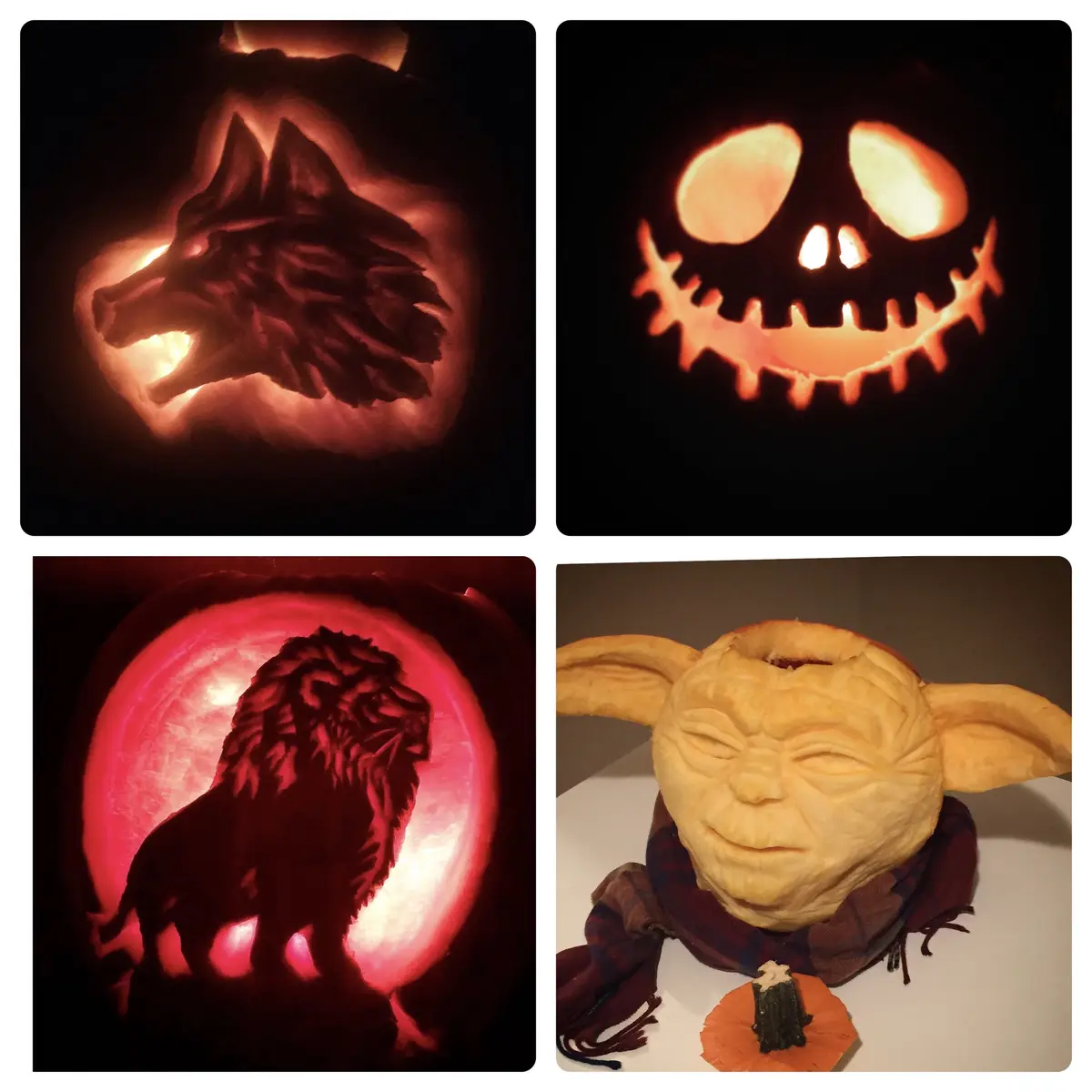 The Great Pumpkin Collection