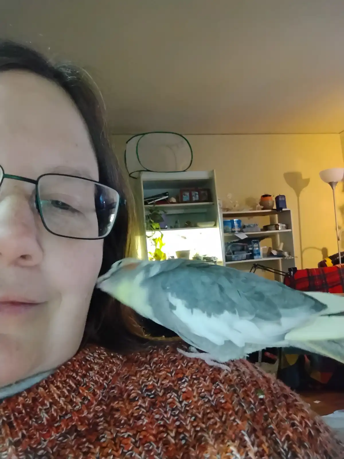 A person with glasses and a brown sweater takes a selfie with a grey and white bird perched on their shoulder, gently…
