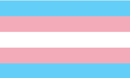 The image displays the trans flag, which consists of five horizontal stripes: light blue, pink, white, pink, and light blue…