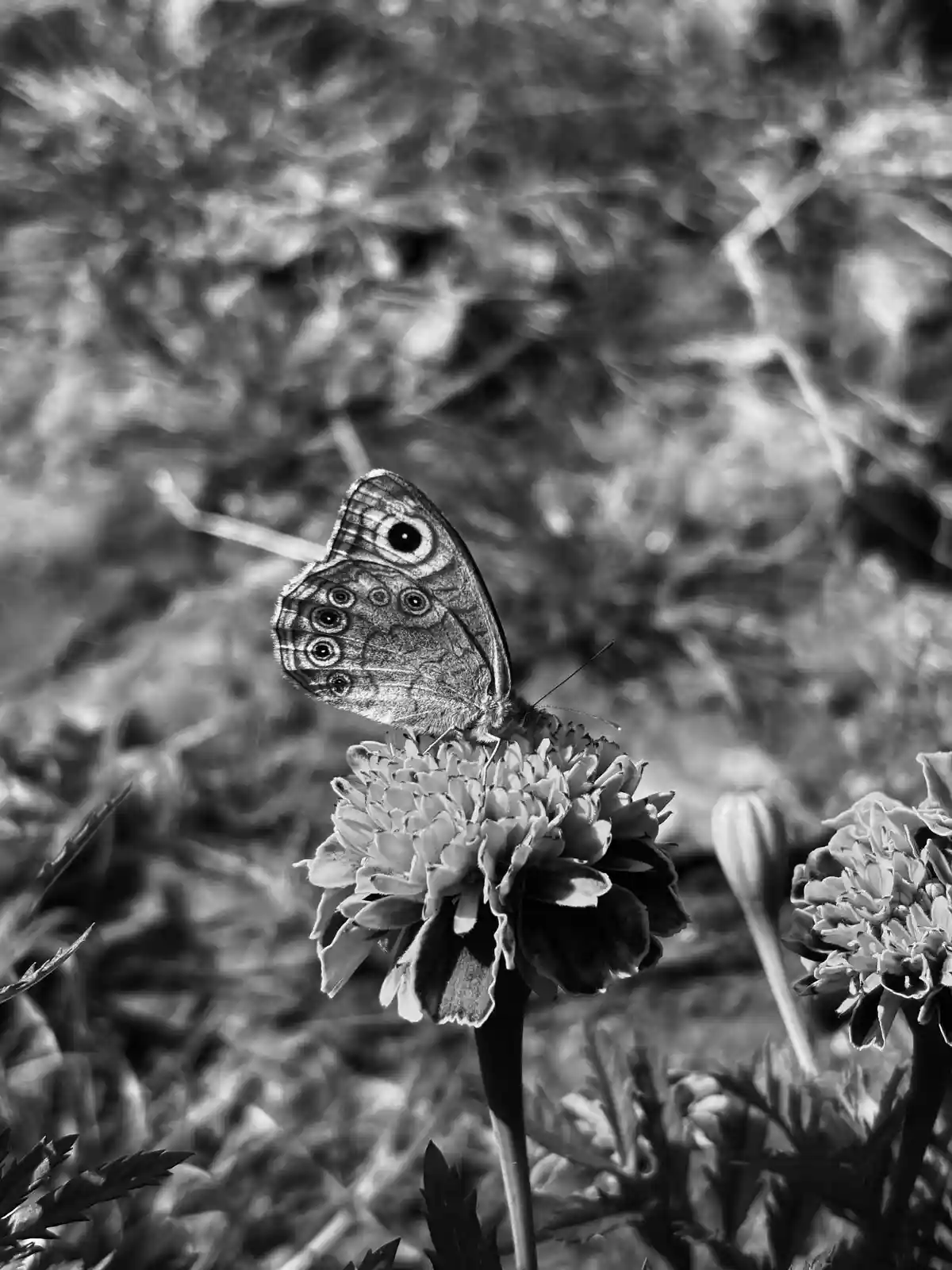 Apologies from the Blaster: A Sincere Moment