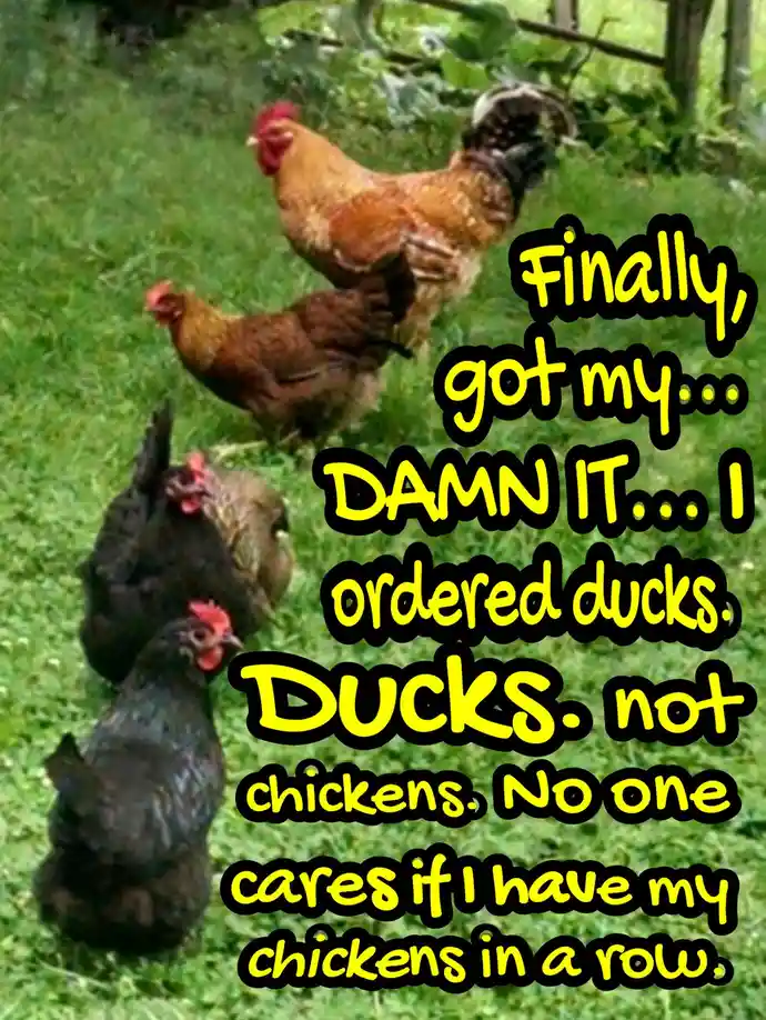 The Unreliability of Online Ordering