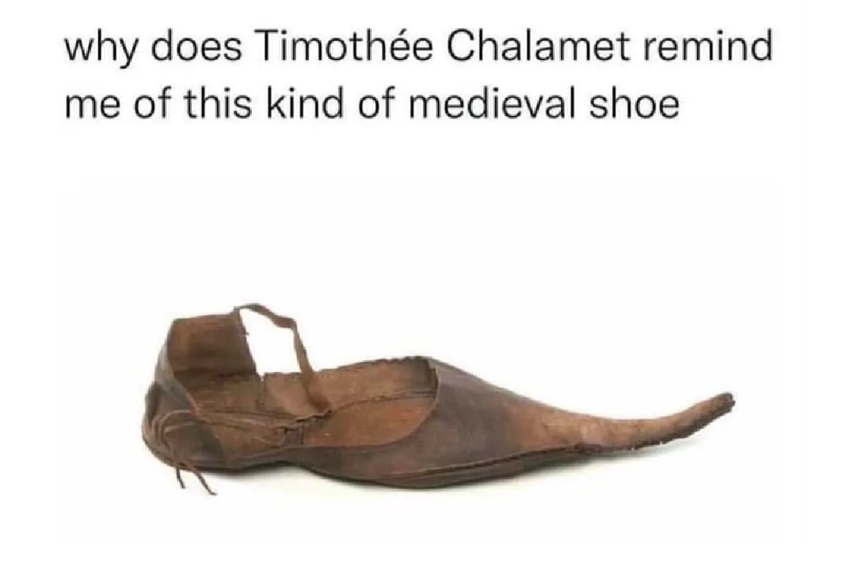 A single, worn, brown leather shoe with a long, pointed toe and a strap over the instep, set against a plain white…