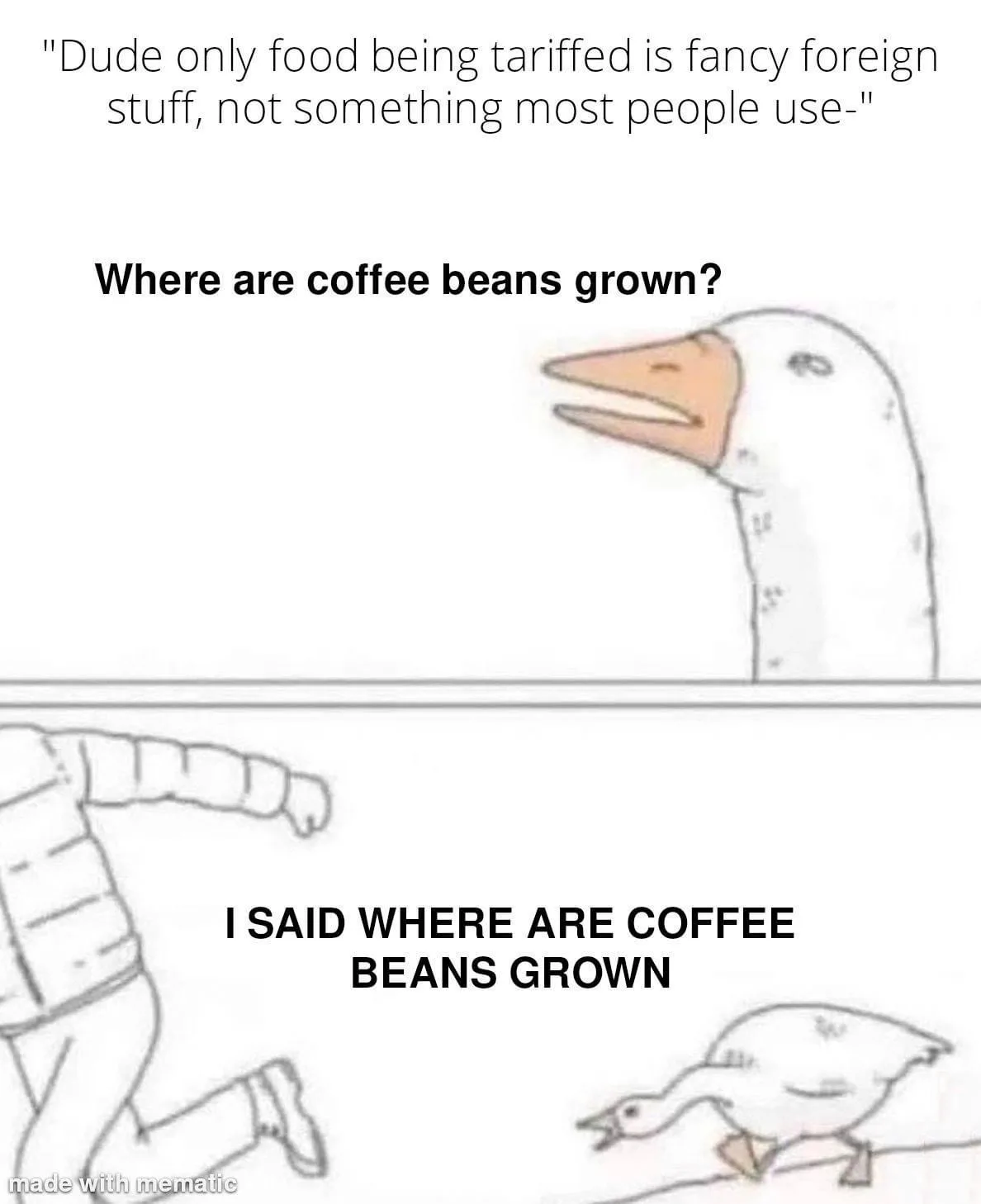 The image shows a two-panel meme featuring a cartoon goose. In the top panel, the goose is speaking, with text above it…