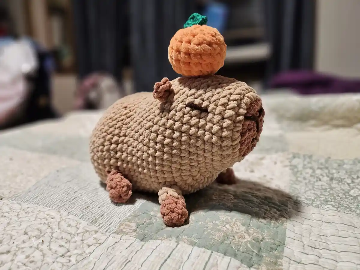 I created something awesome!