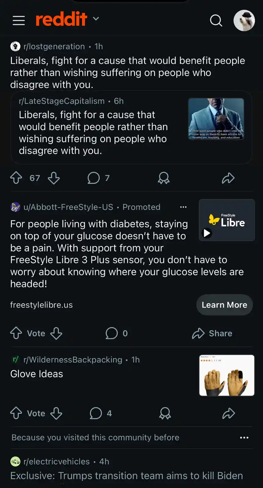 A screenshot of a Reddit post from r/lostgeneration showing a comment that reads 'Liberals, fight for a cause that would…