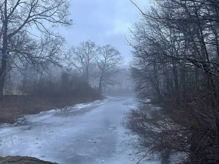 A foggy, icy path winds through a barren winter forest with bare trees on both sides. The ground is covered in a thin layer…
