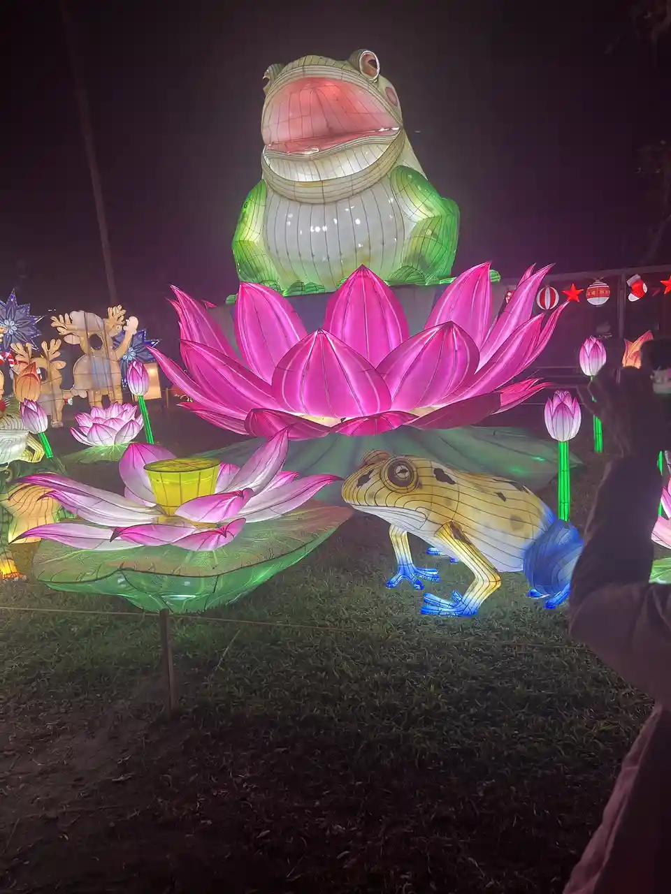 A nighttime photo of illuminated festival lanterns, featuring a large green frog lantern with an open mouth sitting atop a…