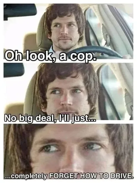 Three-panel meme featuring actor Elijah Wood in a car, looking increasingly panicked as he realizes a police officer is…