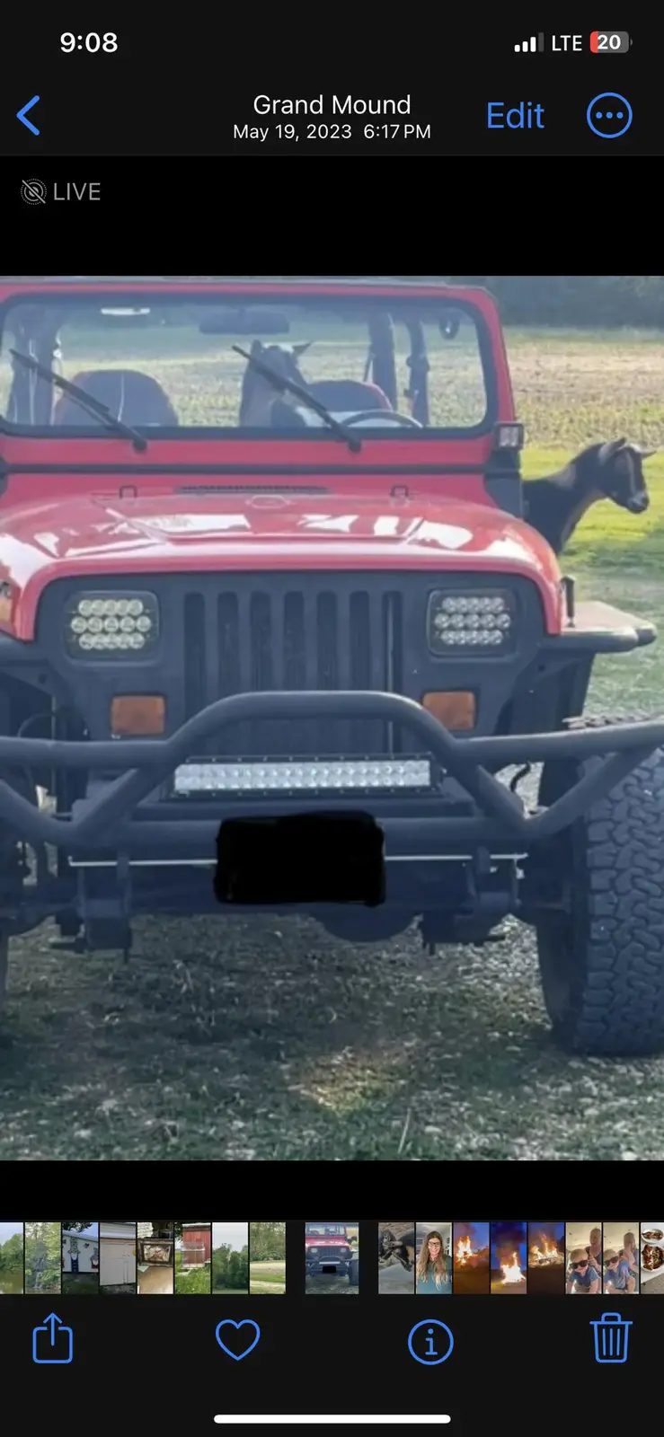 A red Jeep Wrangler is parked outdoors with a black goat standing beside it and another goat visible through the windshield…