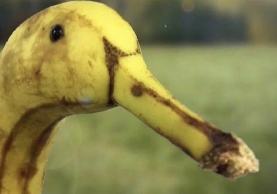 The Iconic Banana: A Fruit with a Twist