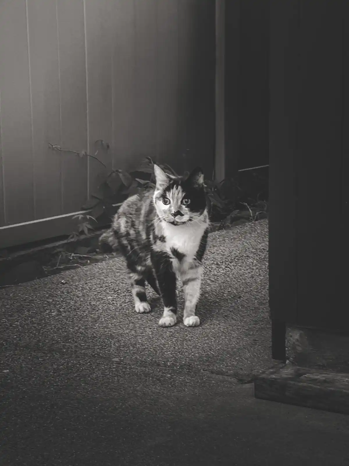 A Friendly Greeting: Well Hello There!
