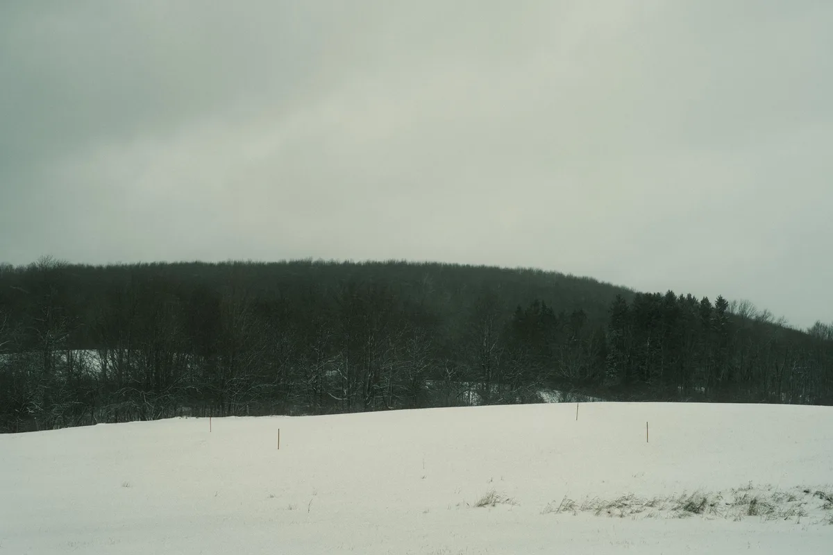 A desaturated, moody photograph of a snowy field with a distant forest under an overcast sky, overlaid with the text 'i'm…