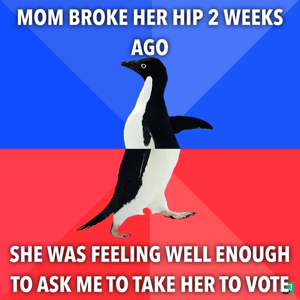 A penguin stands centered against a blue and red background, with white text at the top stating 'MOM BROKE HER HIP 2 WEEKS…