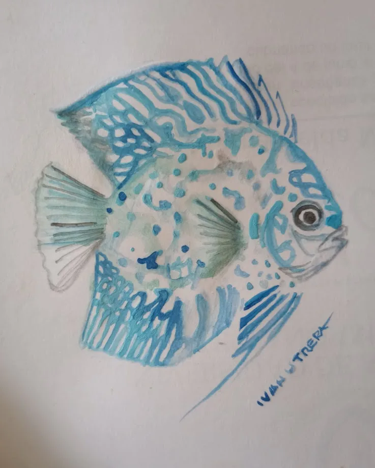A watercolor painting of a blue and green fish with intricate patterns on its body, drawn on white paper. The artist's…
