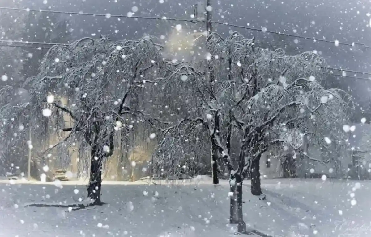 A snowy street scene with snow-covered trees and falling snowflakes, overlaid with the text 'i'm not crying, you're crying'.