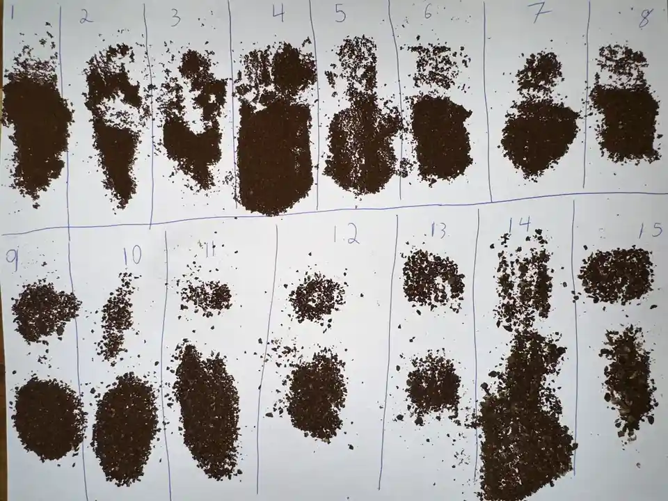 A white sheet of paper is divided into 15 numbered sections with blue ink, each containing a small pile of dark brown dirt…
