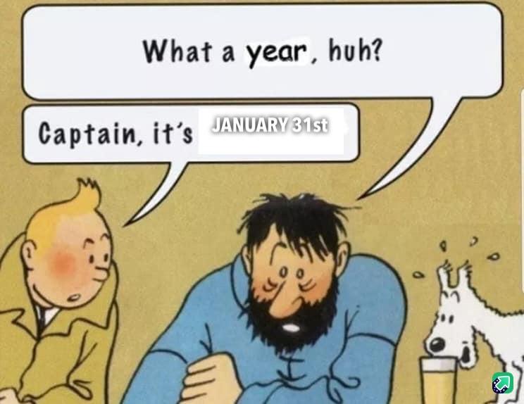 A comic panel featuring Tintin, Captain Haddock, and Snowy. Captain Haddock, looking weary, says 'What a year, huh?' while…