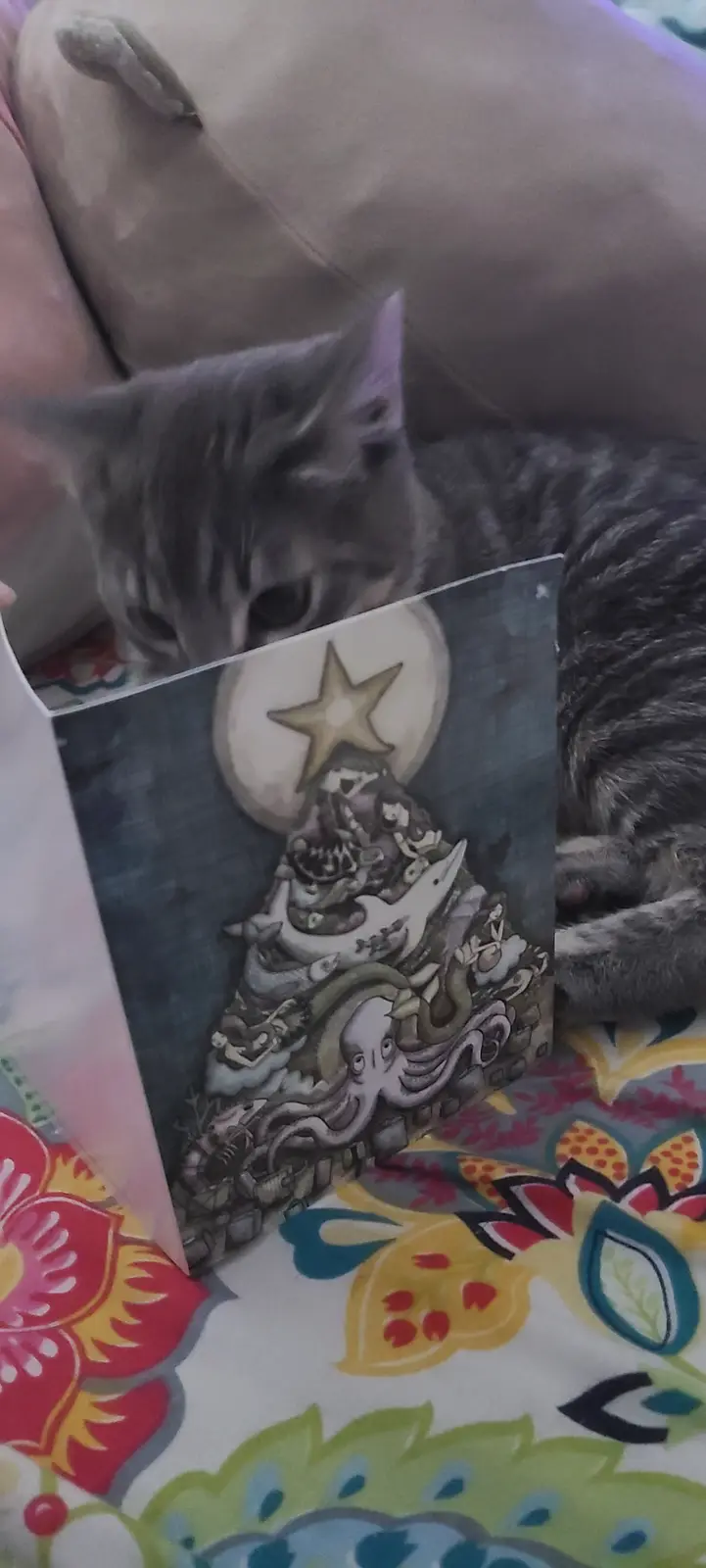 A gray tabby cat is peeking over the top of a book with a surreal, darkly whimsical cover featuring an octopus, a whale, and…