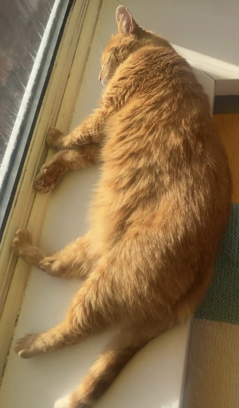 An orange tabby cat is lying on its side on a white windowsill, stretching out with its paws dangling over the edge, basking…