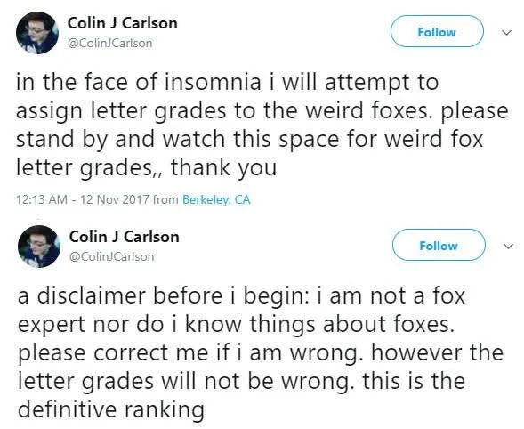 A screenshot of two tweets from Colin J Carlson, where he humorously announces he will assign letter grades to 'weird foxes'…