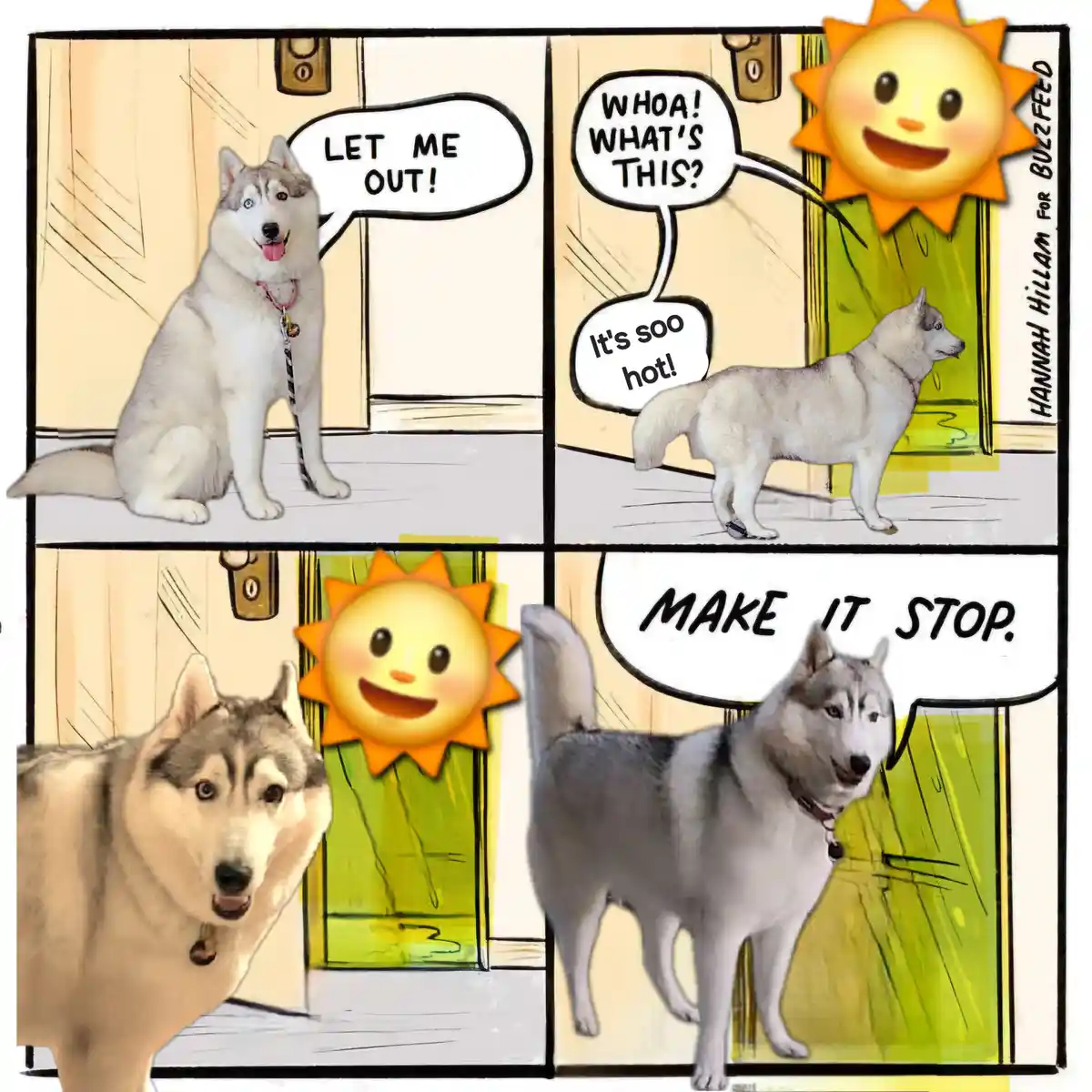 A four-panel comic strip shows a husky dog initially begging to be let out, then reacting with shock and discomfort to a…