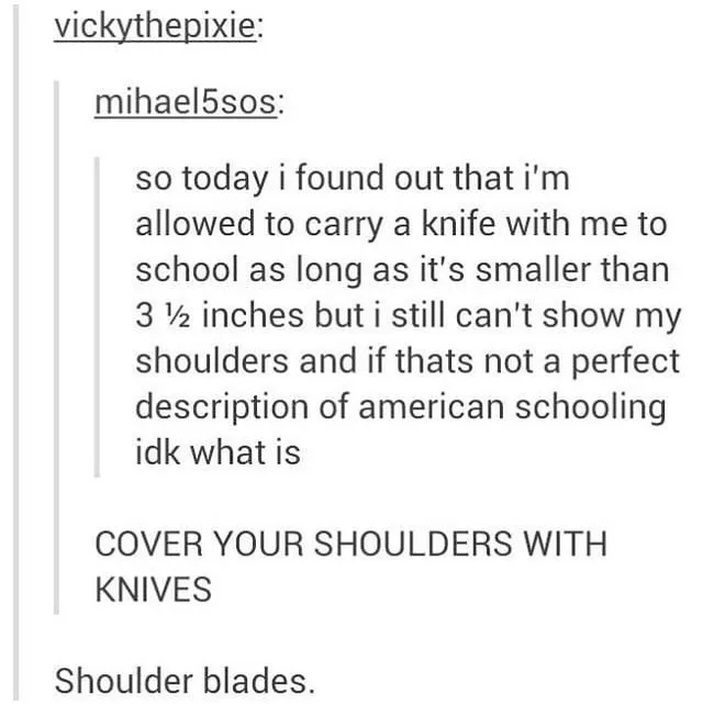 The image displays a screenshot of a Reddit comment thread. The user 'mihael5sos' posts a complaint about American school…