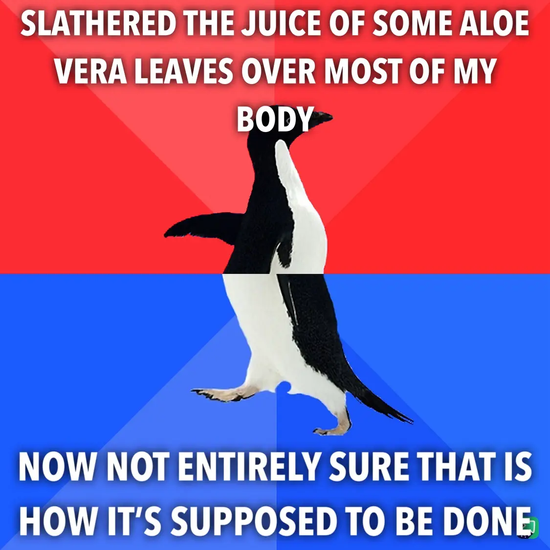 A penguin stands against a red and blue background, with white text overlaid. The top text reads 'SLATHERED THE JUICE OF…