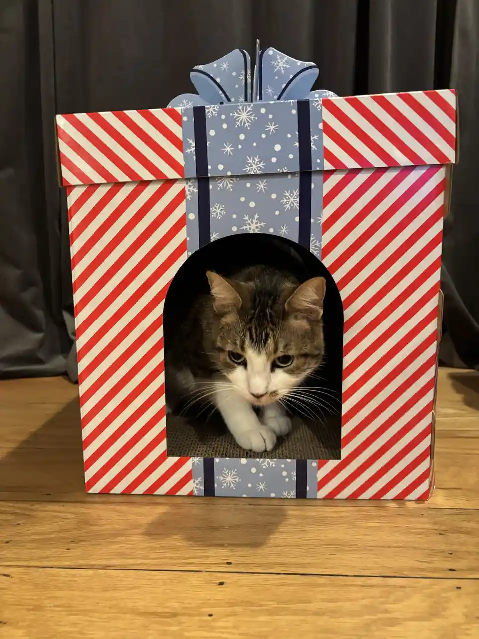 Here's a little surprise just for you!