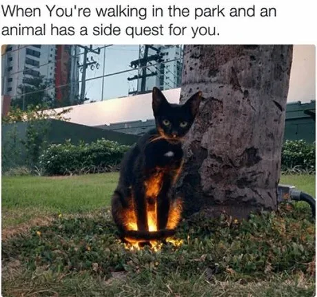 A black cat sits alertly on grass next to a tree trunk in a park, its body illuminated from below by a warm light source…