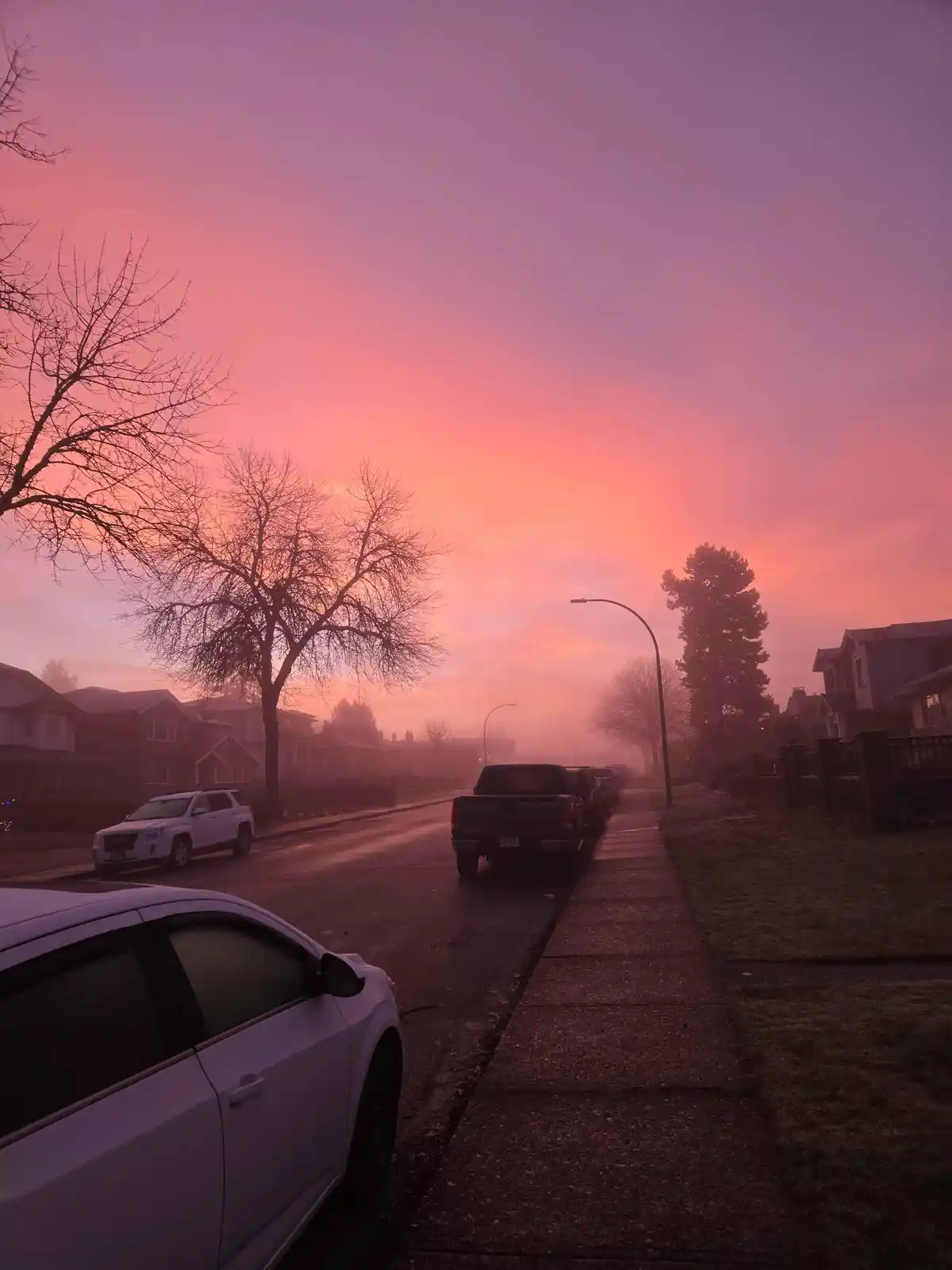A foggy suburban street at dawn, bathed in a surreal pink and purple sky, with parked cars and bare trees visible. The…