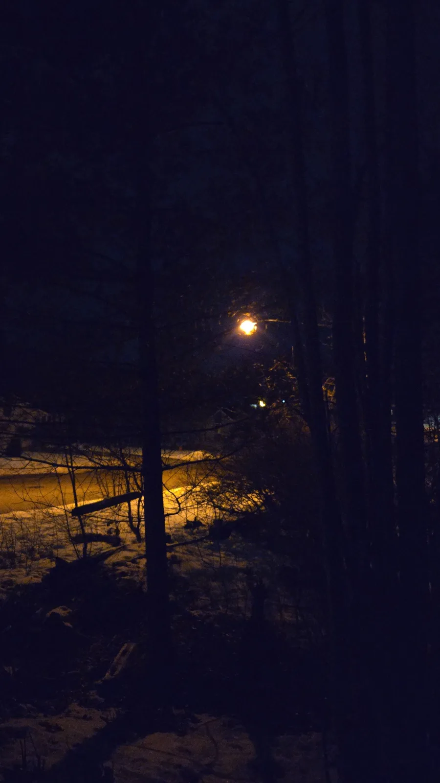 A dark nighttime photo of a snowy forest with bare trees, where a single streetlight casts a warm yellow glow on the snow…