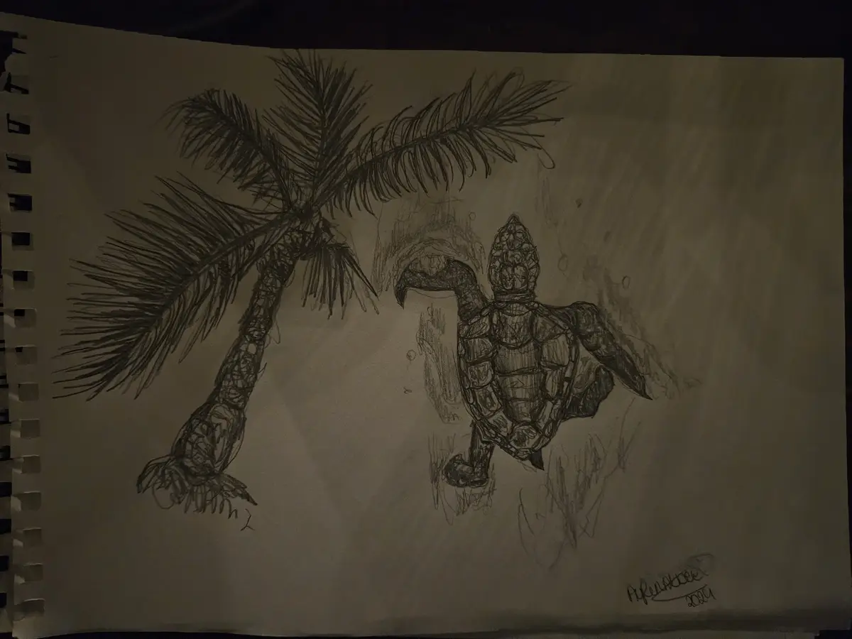 A pencil sketch on spiral-bound paper shows a turtle with a helmet-like shell and a palm tree leaning over it. The turtle…