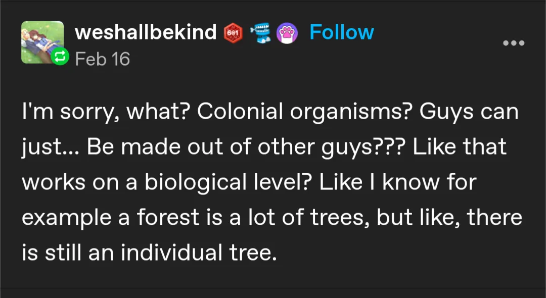 A screenshot of a social media post from user 'weshallbekind' dated Feb 16, showing a text comment that reads: 'I'm sorry…