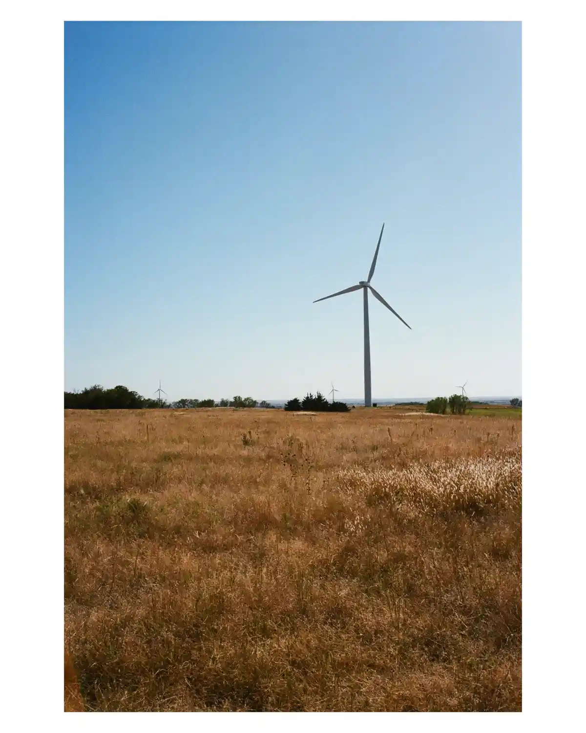 A wide shot of a dry, golden-brown grass field under a clear blue sky, with a large wind turbine prominently centered in the…