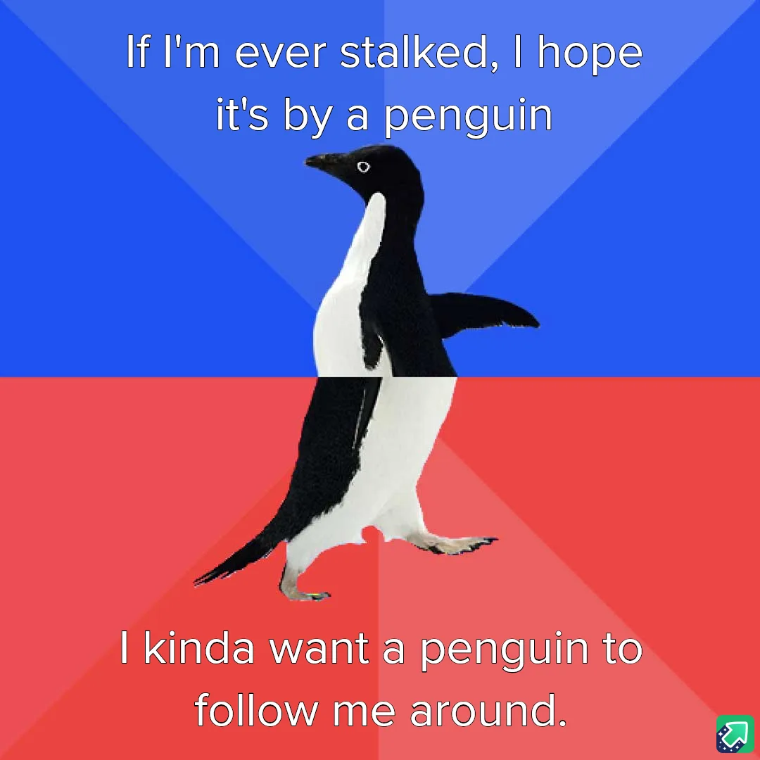 A black-and-white penguin stands centered against a split blue and red background. White text at the top reads 'If I'm ever…