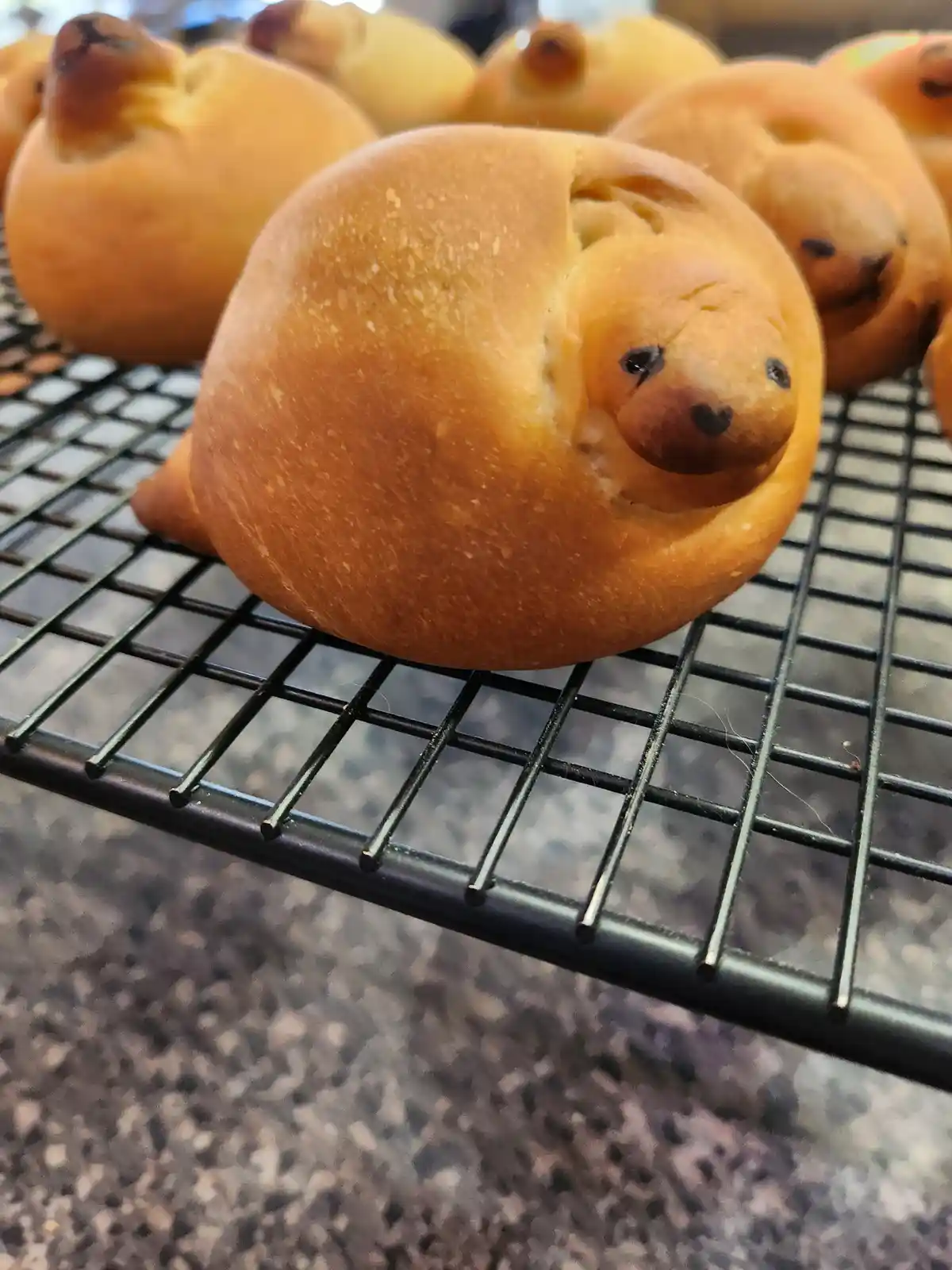 A close-up photo shows several golden-brown baked goods shaped like seals, resting on a black wire cooling rack. Each pastry…