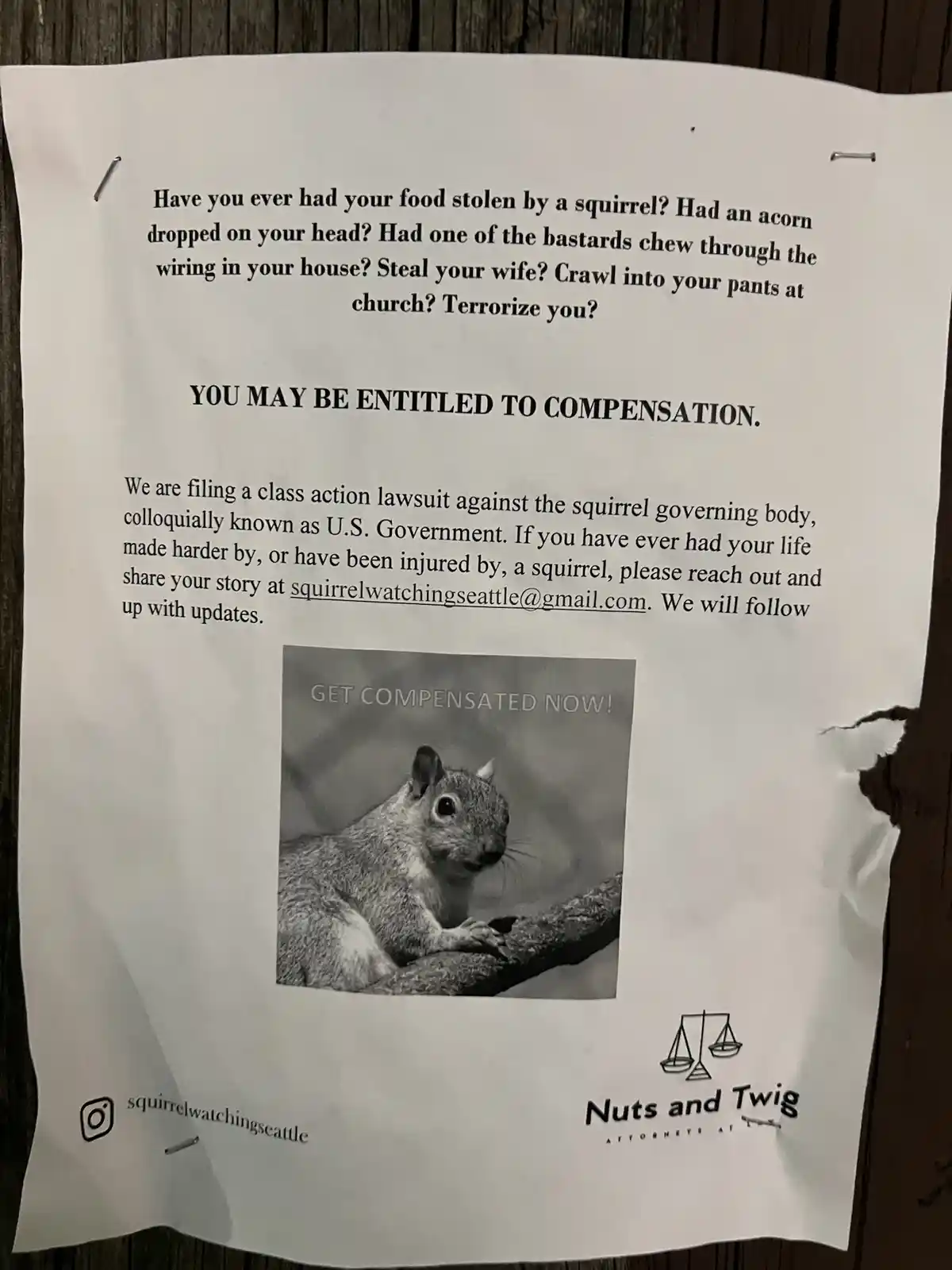 A printed flyer pinned to a wooden surface, styled like a legal notice, humorously claims that victims of squirrels may be…
