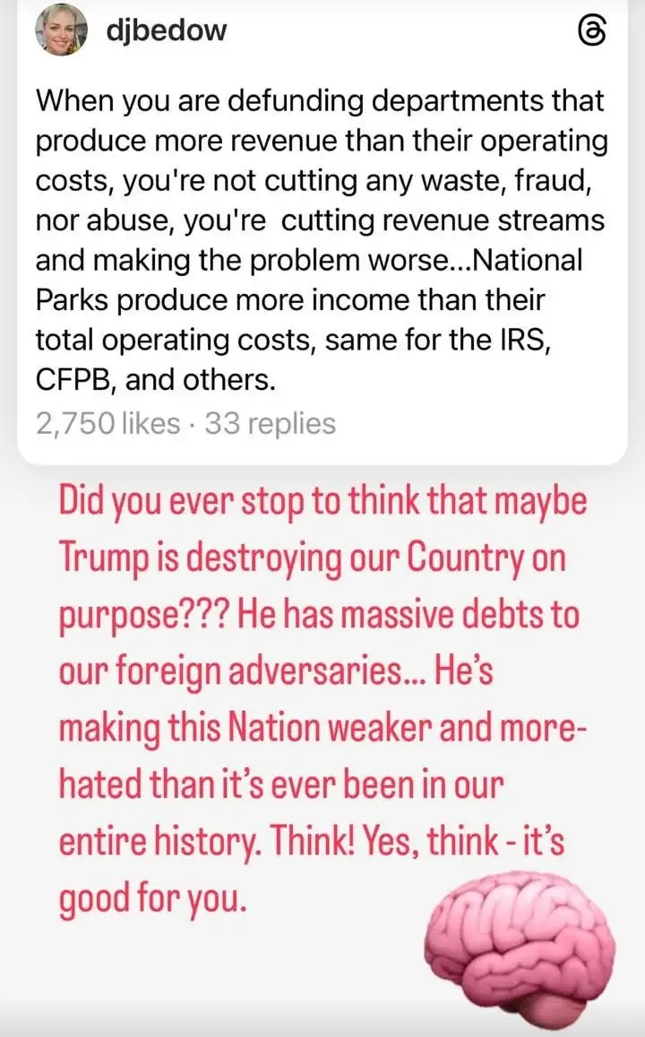 An image of a social media post by user 'djbedow' discussing defunding government departments that generate more revenue…