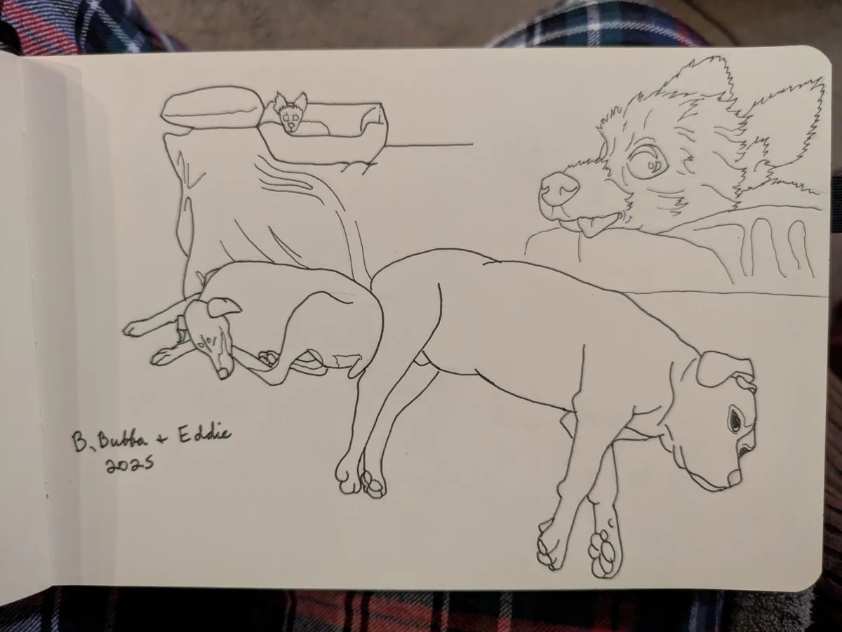 A black-and-white line drawing in a sketchbook shows three dogs: one large dog lying down with its head on the ground…